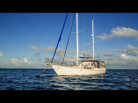 Whitsundays Sailing Adventures