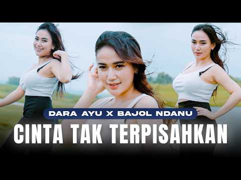 BAJOL NDANU MANAGEMENT and Dara Ayu Official 
