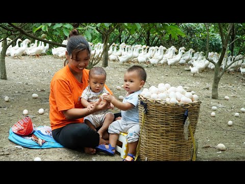 Single Mom Harvest duck eggs goes to the market sell - The daily life of three mothers and children