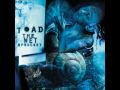 Toad the Wet Sprocket - Crazy Life 