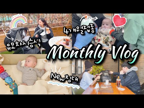 📅 육아브이로그 월간양말부부｜잉글레시나 트롤리지 유모차, 레이디가구 코쿤 데이베드, 4개월 아기 예방 접종