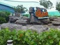 THE SEAS WITH NEMO AND FRIENDS 2013