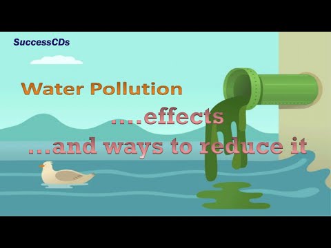 water pollution effects on animals and plants