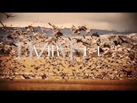 STERLING High Quality Ammunition