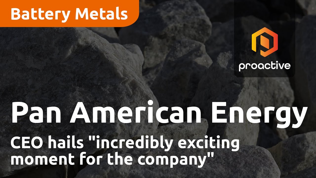 Pan American Energy CEO hails "incredibly exciting moment for the company"
