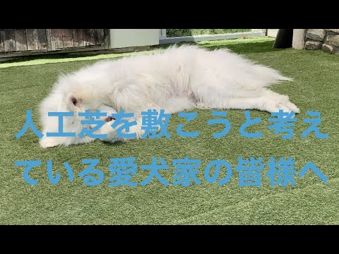 これであなたの庭が犬の楽園に変わります トピックス