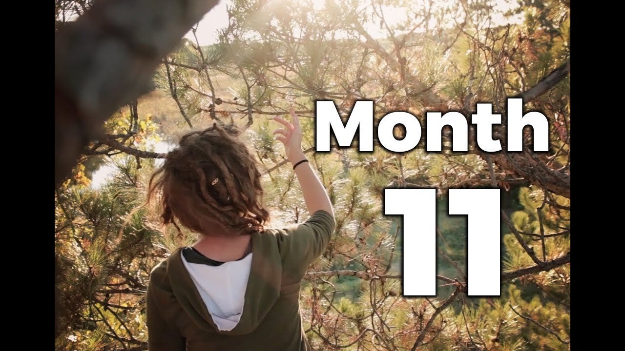 11 Months With Dreadlocks