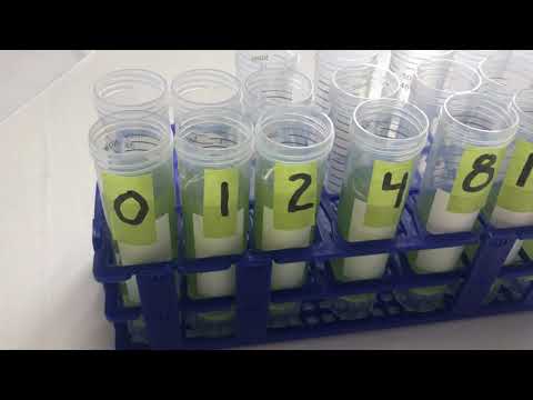 Brainy Briny: Carrying Capacity (Oxygen)