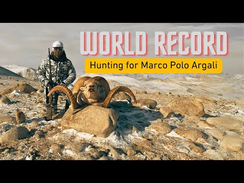 , title : 'Hunting for WORLD RECORD Marco Polo Argali'