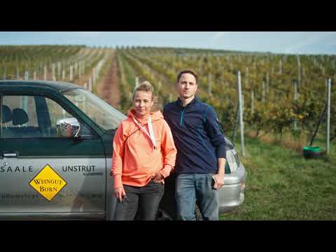 Zu Gast beim Weingut Born: Bio-Weine aus Saale-Unstrut