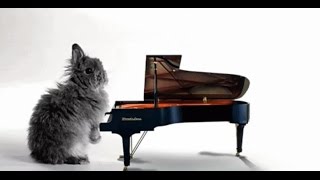 Cry in my Heart- Starfield // Piano Cover with Lyrics