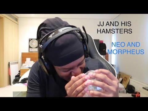 THE HISTORY OF JJ AND HIS HAMSTERS !!