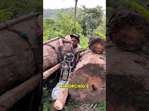 Altro che Enduro…. Credit: Toto_saha #shorts #shortvideo #shortsfeed #shortsvideo #shortsviral