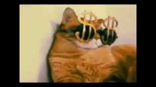 S-X - Woooo Riddim (DJ Q Remix)