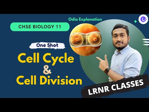 Cell Cycle and Cell Division class 11 one shot