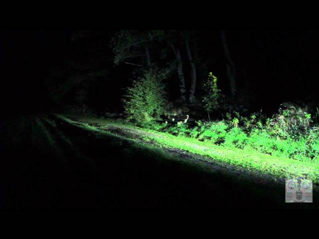 Video Teaser für Lupine Rotlicht - Demonstration der Bremslichtfunktion