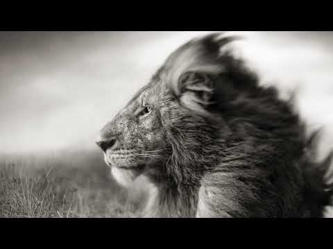 Club House Mix 2024 / Mixed by Cole / Session 52 #funkyhouse#jackinhouse#house#deephouse