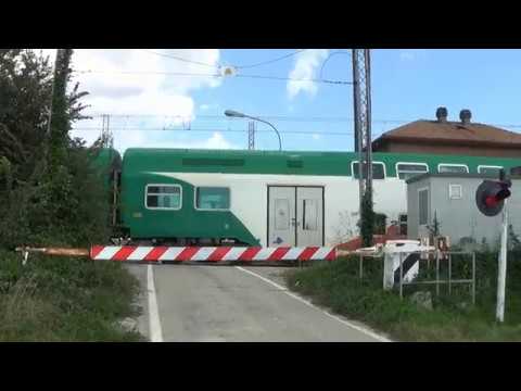 Passaggio a livello di via Alberone - Argenta (FE) / Level Crossing / Spoorwegovergang / 道口