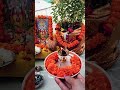 लहरें लहरें लहराए Krishna Radhakrishna Vrindavan Harekrishna Jaishreek
