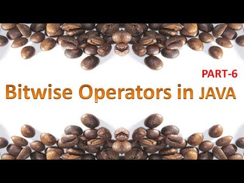 Bitwise Operators In Java17