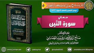 صورة معاني سورة التين | الشيخ صالح العصيمي