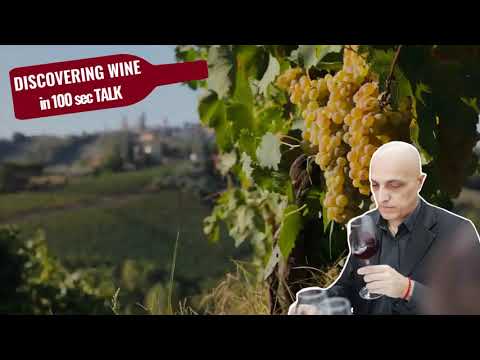 Italian wine series: 𝗩𝗲𝗿𝗻𝗮𝗰𝗰𝗶𝗮 𝗱𝗶 𝗦𝗮𝗻 𝗚𝗶𝗺𝗶𝗴𝗻𝗮𝗻𝗼 𝘄𝗶𝗻𝗲𝗴𝗿𝗮𝗽𝗲 𝗽𝗿𝗼𝗳𝗶𝗹𝗲