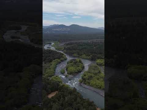 Río Quelhue - Pucón