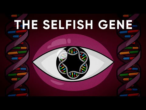 What Is The Gene's Eye View of Evolution? Stated Clearly