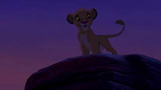 The Lion King (1994) | Morning Lesson With Mufasa | The Morning Report