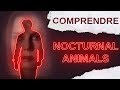 Nocturnal Animals : Explications Fin et Analyse Complète