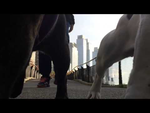 Odelia and Alice's day out!