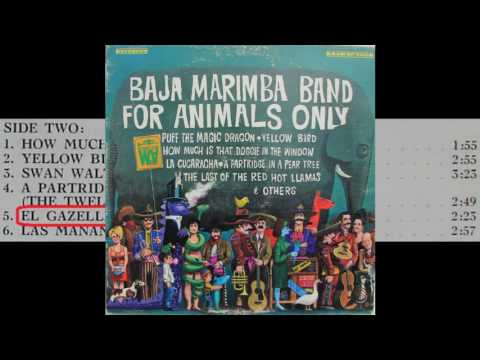 El Gazelle -- Baja Marimba Band