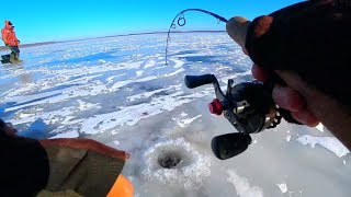 Все о рыбалка рыбинском водохранилище 2020