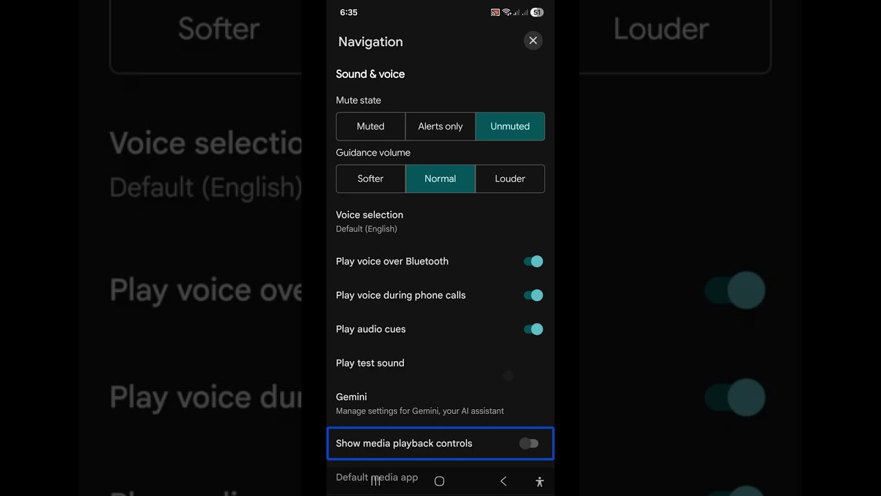 Google maps latest setting explain for blind outdoor navigation setup voice guidance  using maps