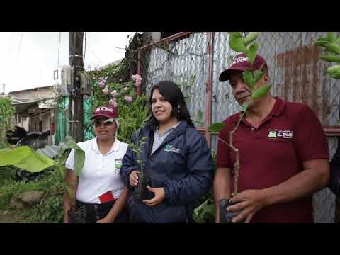 CORPOFUTURO  Conservación Ambiental en El Tambo, Cauca