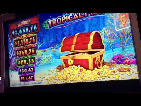 NEW Tropical Fish Slot Bonuses ( 2 videos)