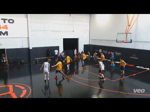 Hidden Gem (47) Tier 17 - 2023 SPRING Cage (62) - tcbl sunday