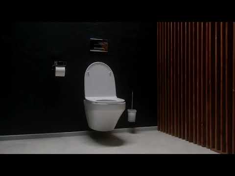 Am.Pm Inspire FlashClean C501700WH