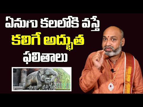 Elephant In Dream Meaning In Telugu | ఏనుగు కలలో వస్తే కలిగే ఫలితాలు | Nanaji Patnaik | Bhakti9am