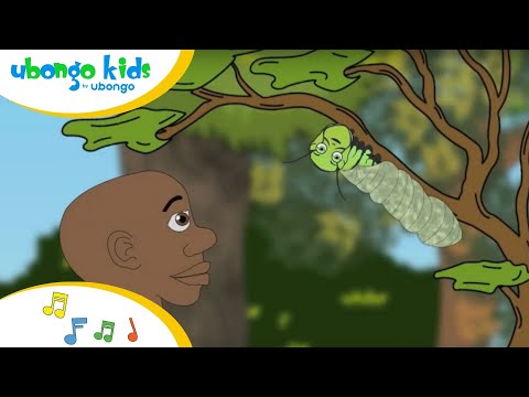 ÉPISODE # 17: Je Veux Grandir! | Ubongo Kids | Dessin animé éducatif d’Afrique