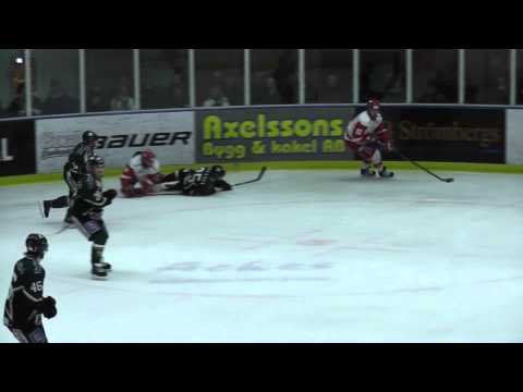 20110309 ESK-Vita Hästen. Sammandrag