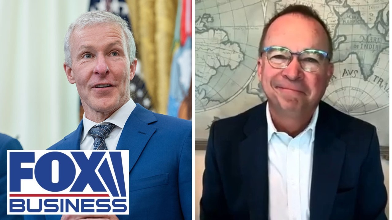 'STICK TO THEIR KNITTING': Ex-Trump official warns CEOs against political involvement
