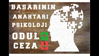 Yatırım psikolojisi, Başarı, Başarısızlık, Ödül ve Ceza Psikolojisi
