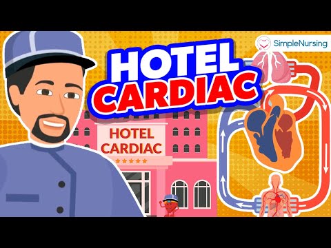 Cardiac Blood Flow Song | Nurse Mike's Memory Music for Nursing Students