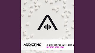 Without Your Love (Radio Edit)