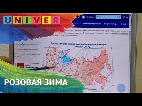РОЗОВАЯ ЗИМА