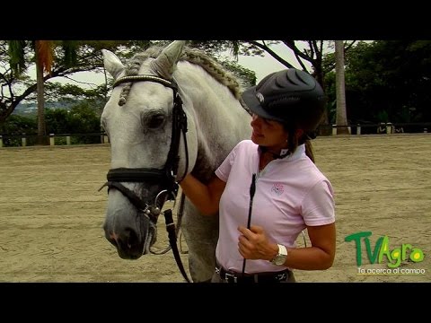 Las Mujeres en el Mundo de los Caballos - TvAgro por Juan Gonzalo Angel