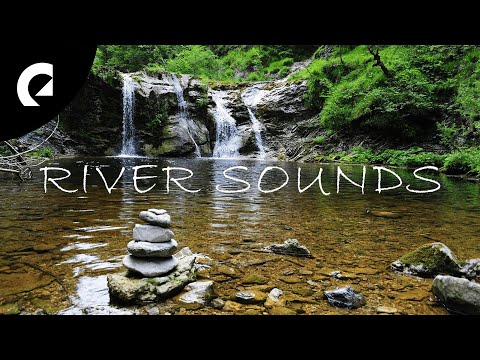 20 Minutes of Relaxing River Sounds - Flowing Water and Forest Creek Ambience 🏞️