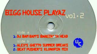 Bigg House Playaz  -  Volume 2 (Alex's Ghetto Summer Breaks)