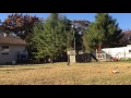 Chickens Chase Man